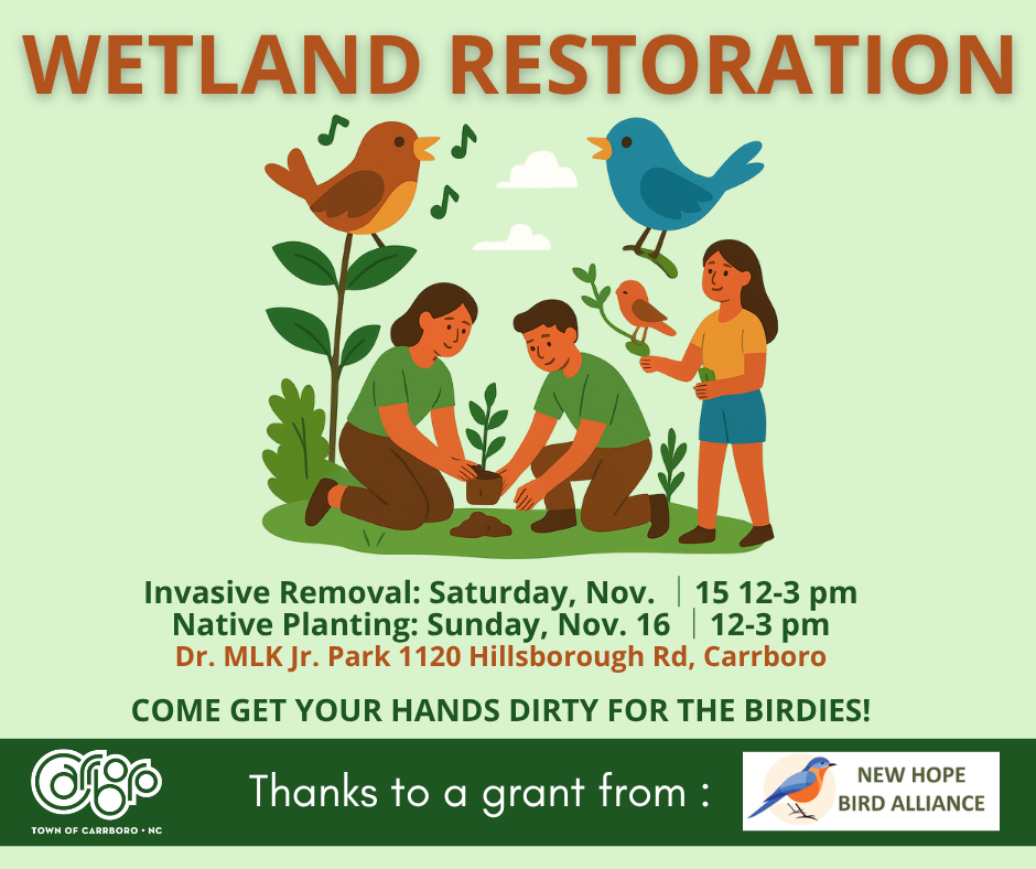 MLK Wetland CTW Graphic Version 1