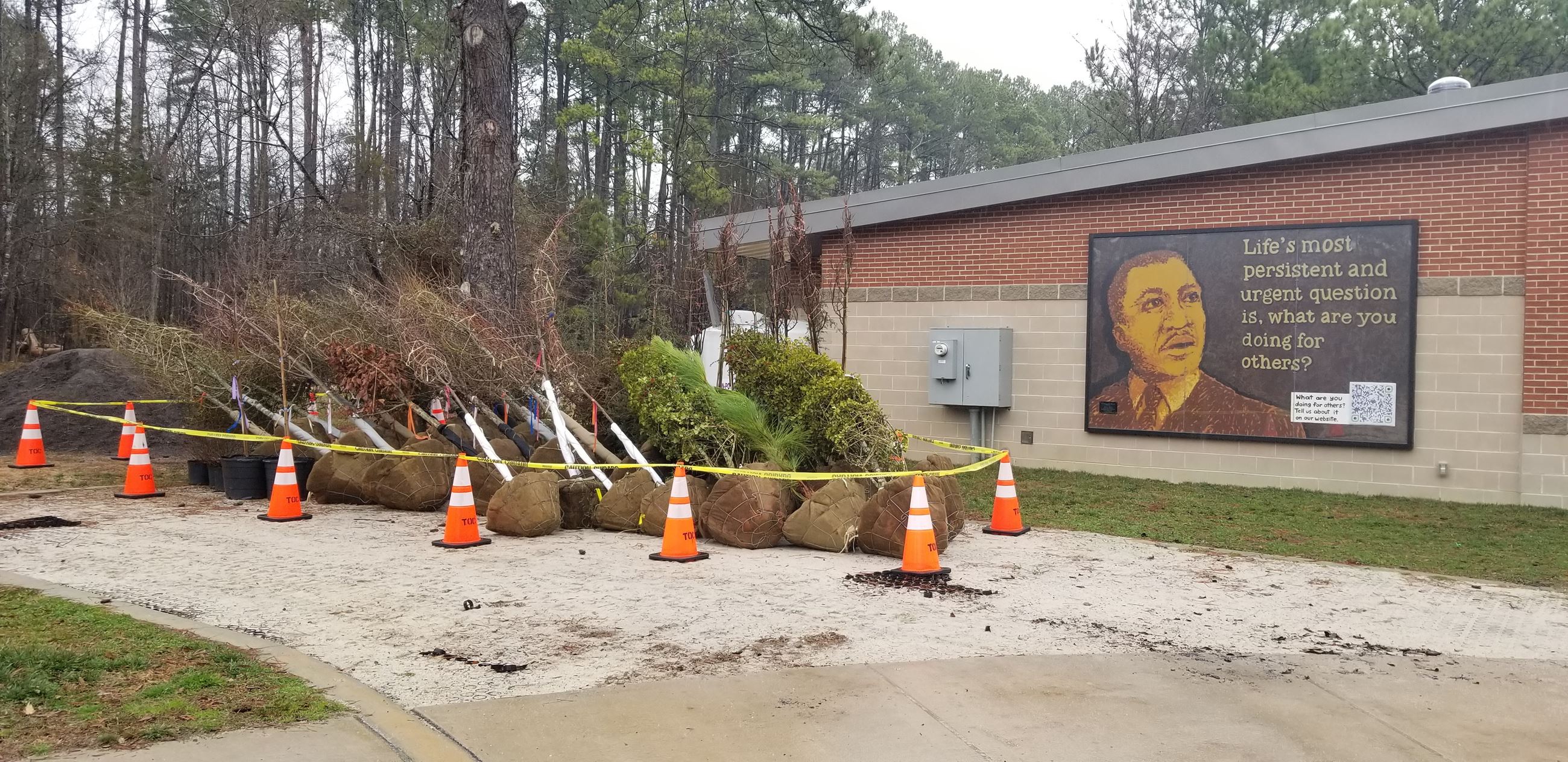 MLK Tree Planting Prep