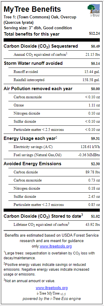 Overcup Oak Town Commons