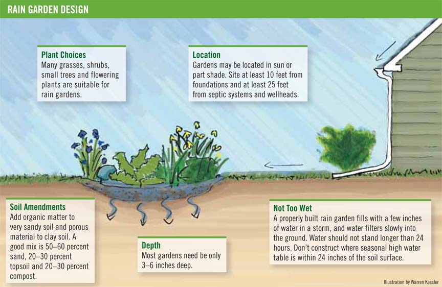 Rain Garden Diagram